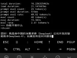 在手机上跑deepseek？