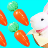 拉比兔吃胡萝卜养成记 咪露妹妹细心照顾小白兔 可爱的兔兔