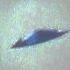 2014年荷兰超棒清晰的碟状UFO目击新闻视频
