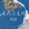 【Hi-Res无损】陶喆《爱我还是他》“你爱我还是他 是不是真的他有比我好 你为谁在挣扎”| 音乐可视化 | 动态歌词