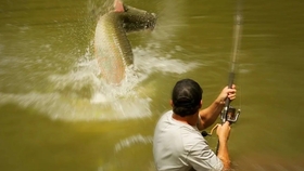 怎么快速去除鱼大骨 fa1ae4a26dd1d178a6a824001c5cff8a3a93686c.jpg@280w_158h_1c_100q.jpg