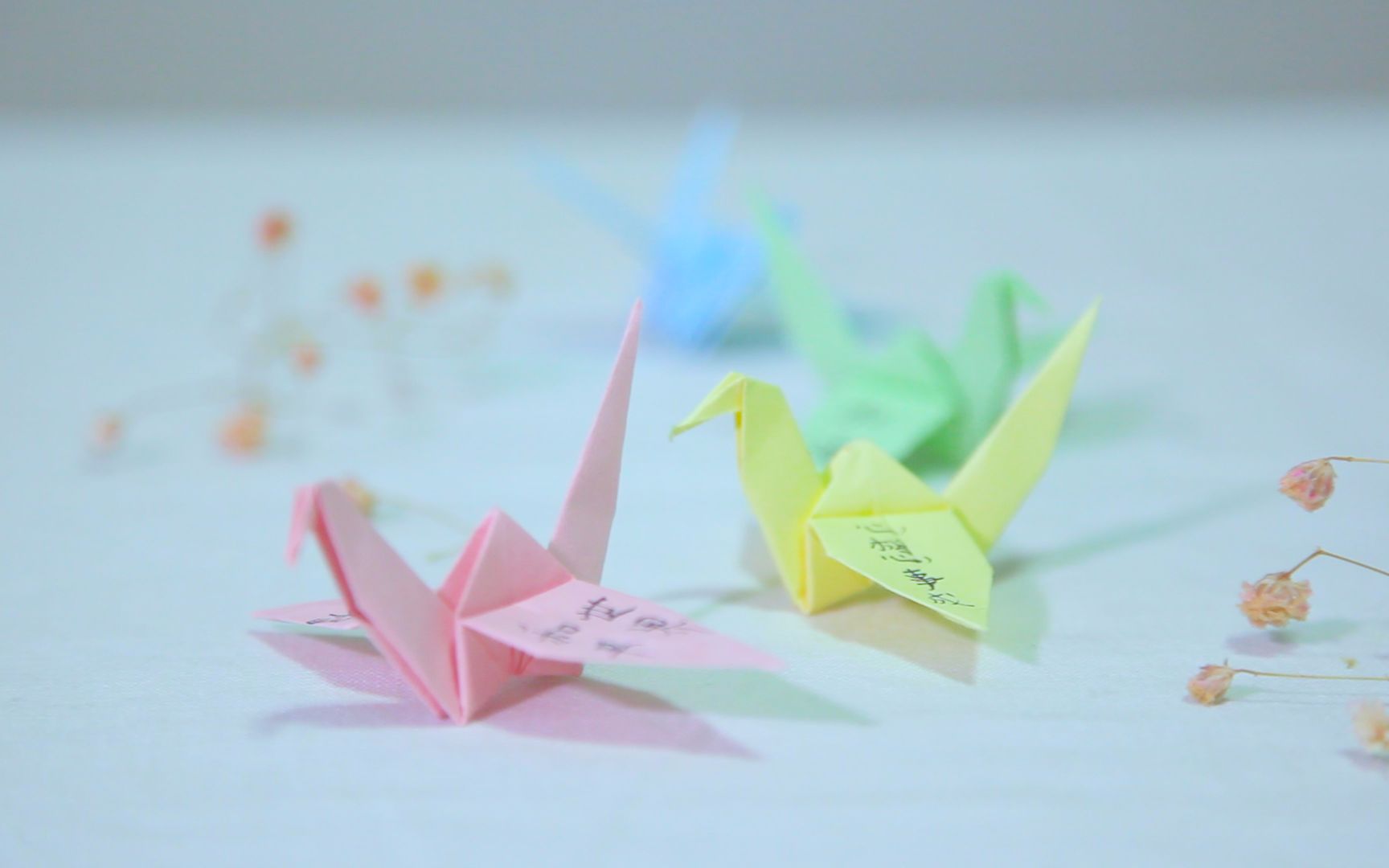 折唯美古风的千纸鹤,简单易学,写上心愿让它带去你的祝福