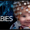 【Netflix】宝宝的第一年：零到一岁 第1季全6集 官方双语字幕 Babies