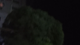 fa45b82edf75d5fa2b6f038070bdd541b52c4516.jpg@280w_158h_1c_100q.jpg