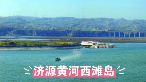 济源黄河西滩岛：魅力无限的度假胜地