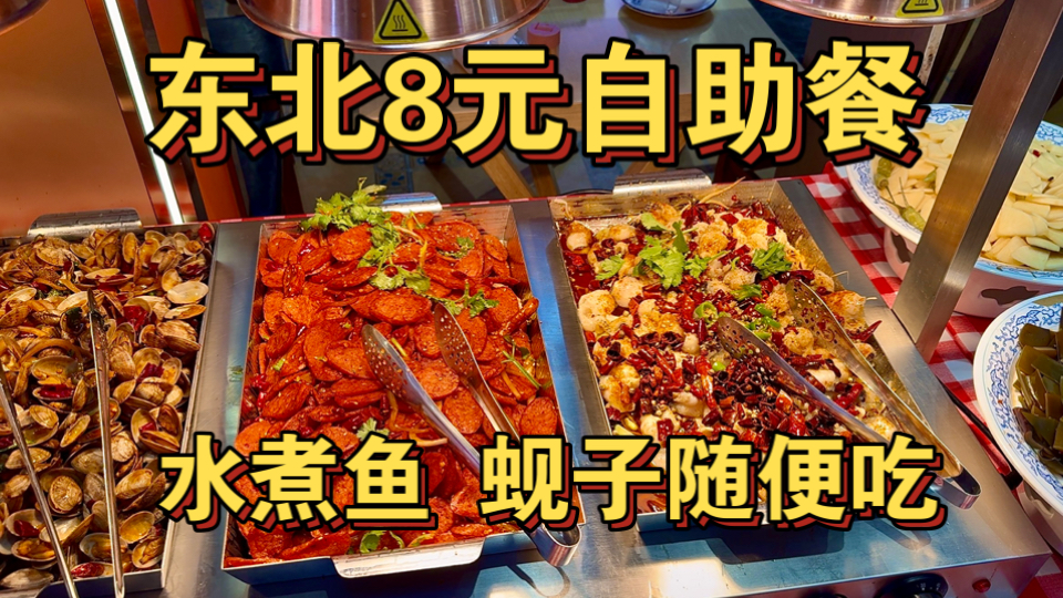 东北8元自助餐 水煮鱼 蚬子随便吃！
