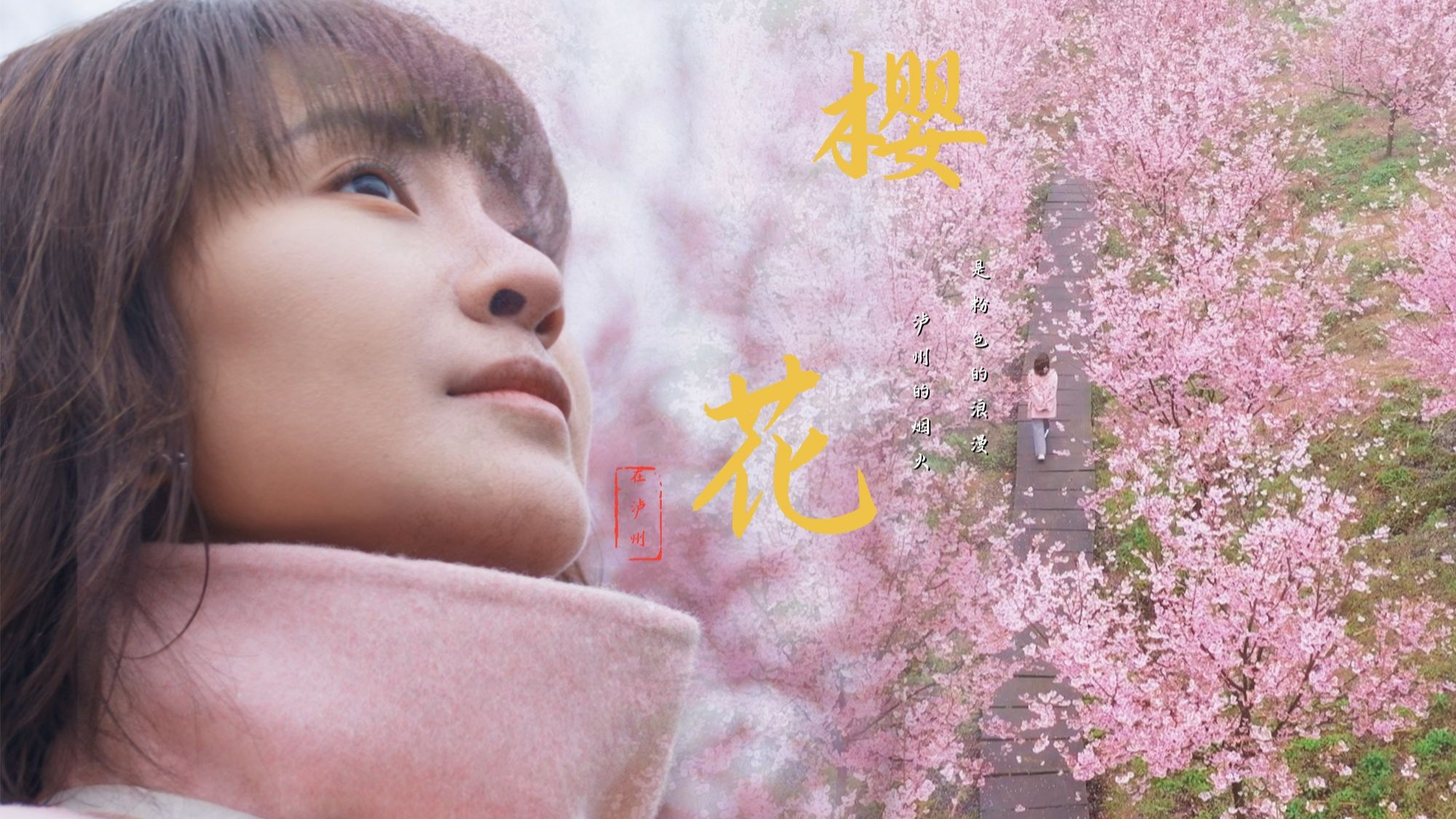 阳春三月，樱花烂漫，我发现了泸州粉色浪漫下的烟火味道