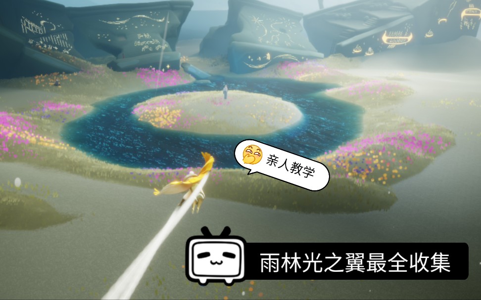 光遇sky光遇雨林光之翼最全指引亲人级教学全端通用求三连