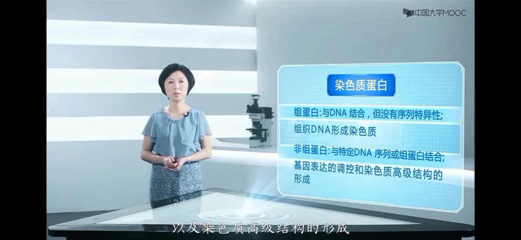 染色体的四级结构–––骨架放射环模型形成过程