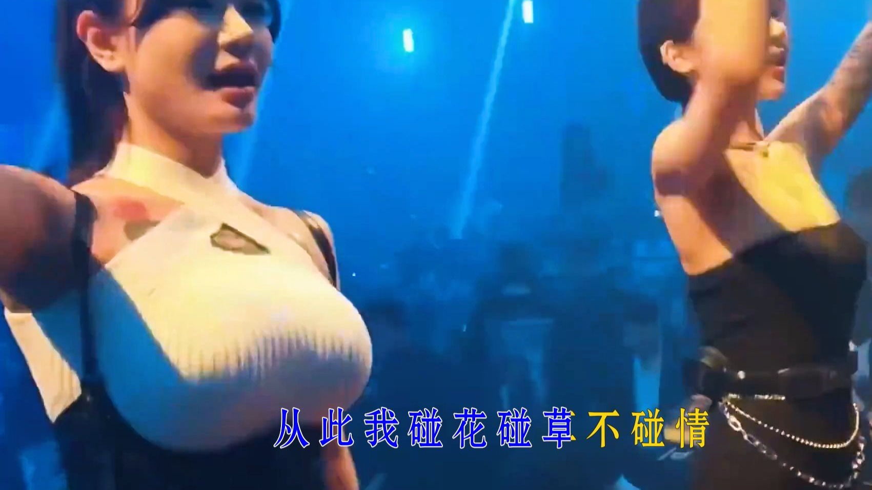 车载DJ舞曲 -从此我碰花碰草不碰情 (DJ小行版)