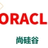 Oracle 数据库-sql plsql - Java 学习 - 尚硅谷