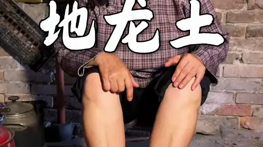 长眠于地里的智慧,在爷爷泛黄的书籍中:里面记载着神秘的“地龙土”上长韭菜、下生地龙,不可缺一