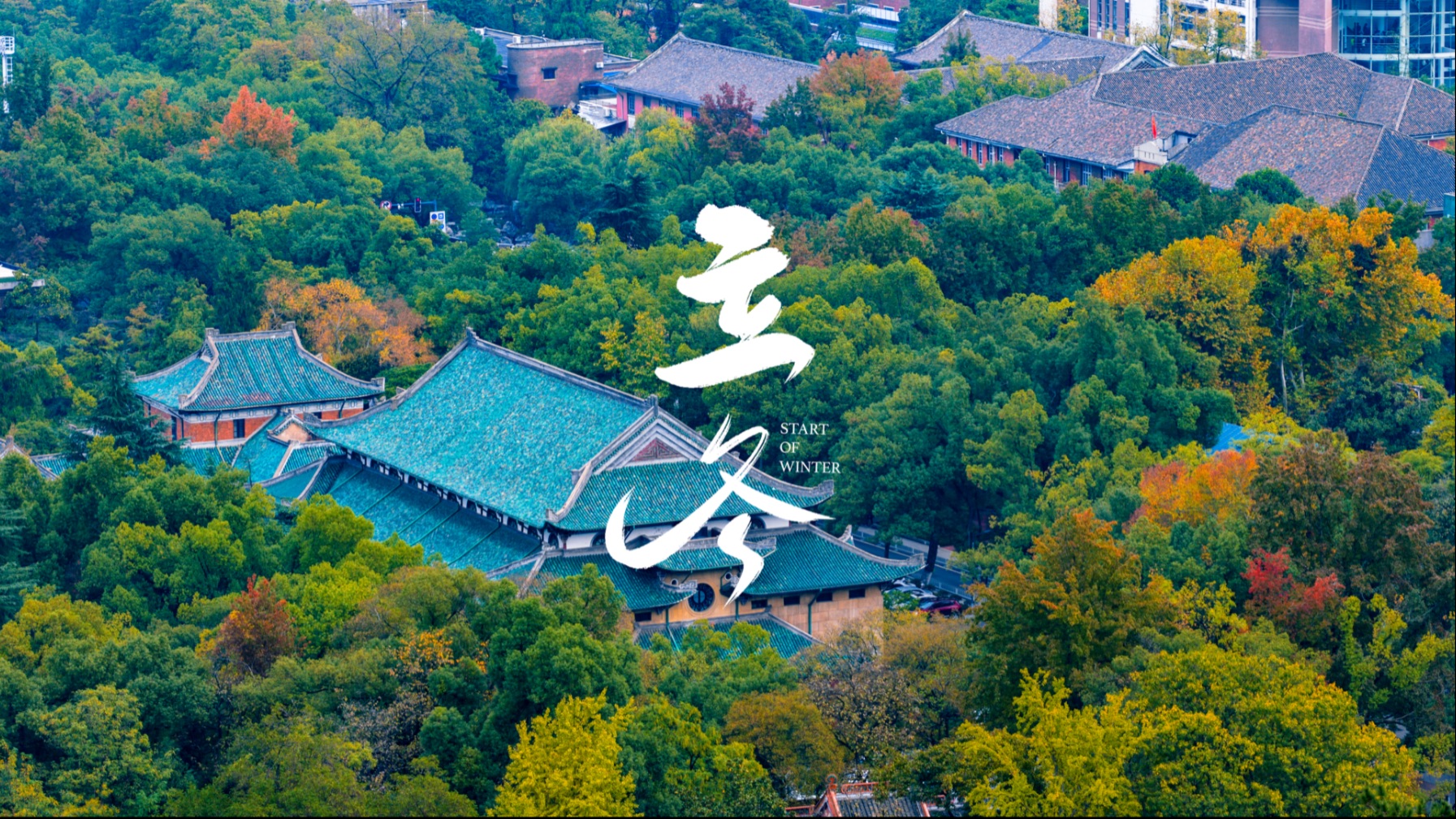 湖大二十四节气·立冬