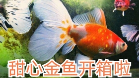 fb35f9f8e24e203aebde258c3026e4bceaea94de.jpg@280w_158h_1c_100q.jpg