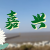 嘉兴vlog｜周末去哪里玩呢