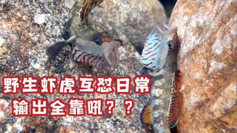 fb6401f46efe83f669ee36fc985ef227a7872eba.jpg@480w_270h_1c