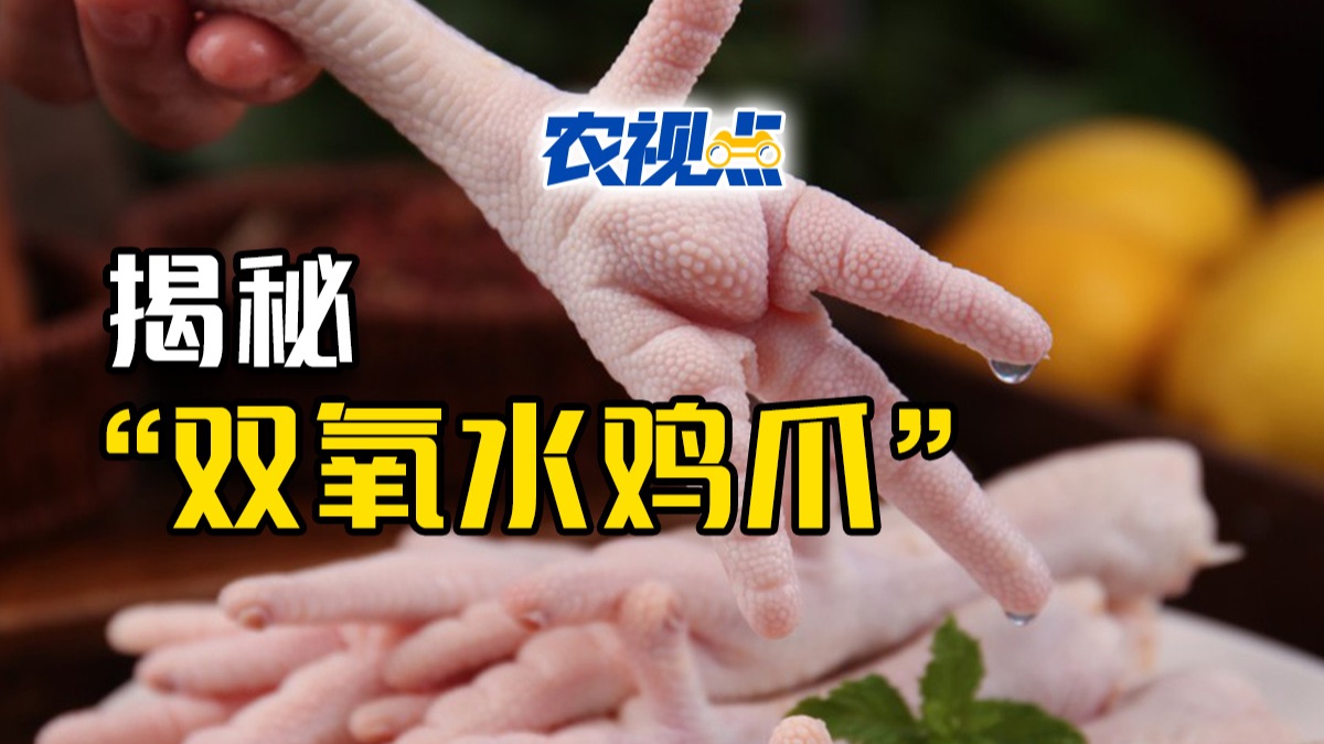 “加了东西它才那么白”，工人一句话，揭开双氧水鸡爪的真相！