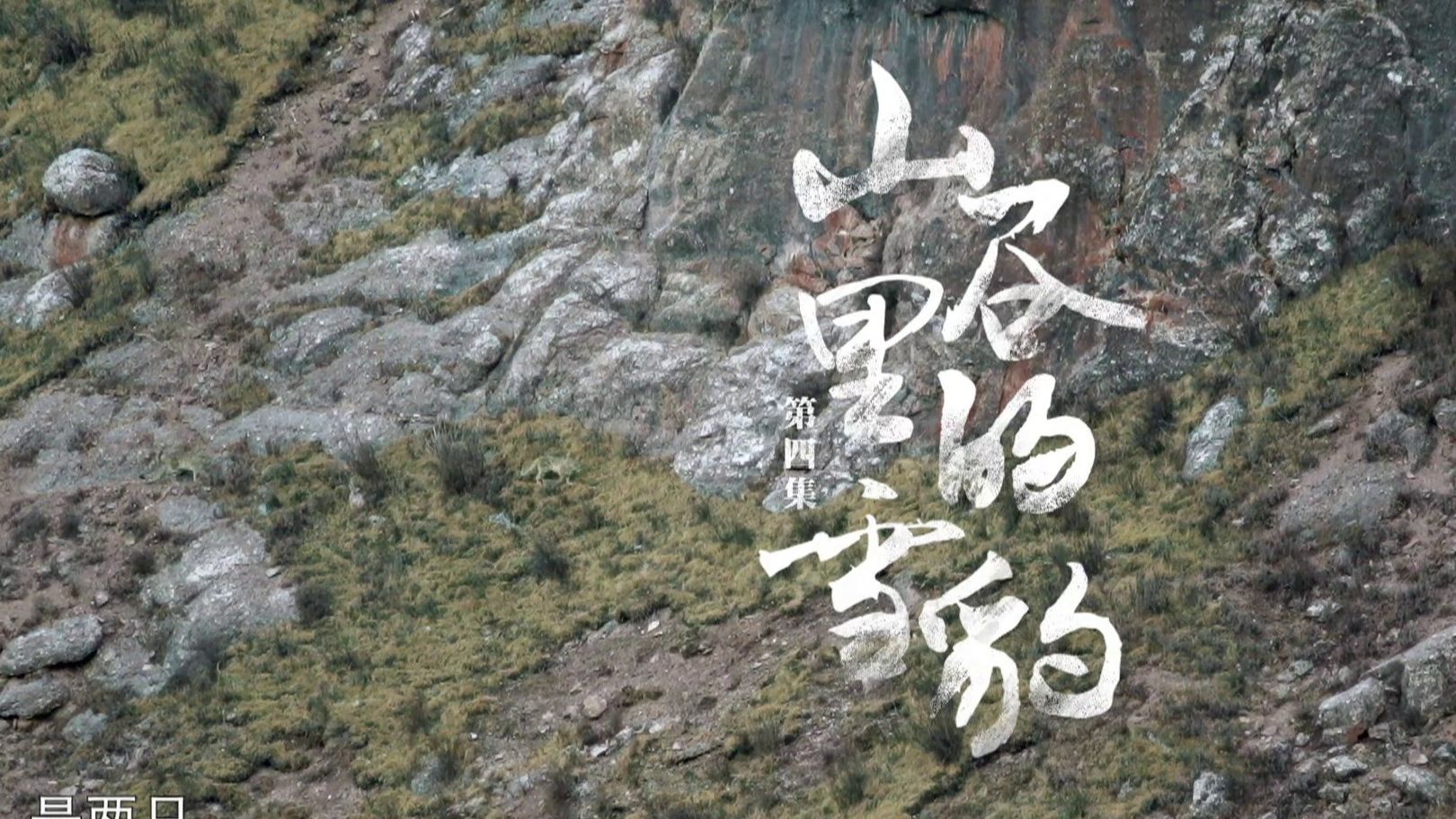 纪录片《生命树》第四集：山谷里的雪豹