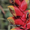 【求素材】春天来了，万物复苏，又到了动物们繁殖的季节