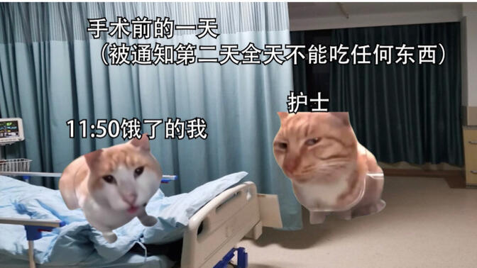【猫meme】关于我麻醉醒来拽着护士的手唱国际歌的故事