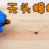 实验：蟑螂没了头，到底能活多久？重口慎入！