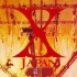 【X JAPAN】19971231The last live完全版（沙袋字幕）