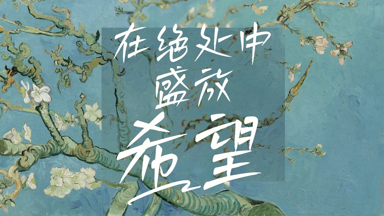 这个春天 出去走走吧