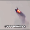 狗中哈士奇，国中土耳其，来看看土耳其的奇葩操作