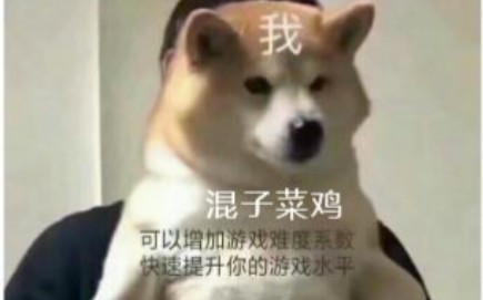 猫猫你不要乱来啊 哔哩哔哩 つロ干杯 Bilibili