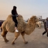 美女骑骆驼，跳下来骆驼就卖了，这是啥套路？