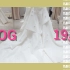 「vlog30days」Ep.19 库存清除计划！上海婚纱店分享！
