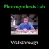 【小圆叶片上浮法实验】Photosynthesis Lab Walkthrough