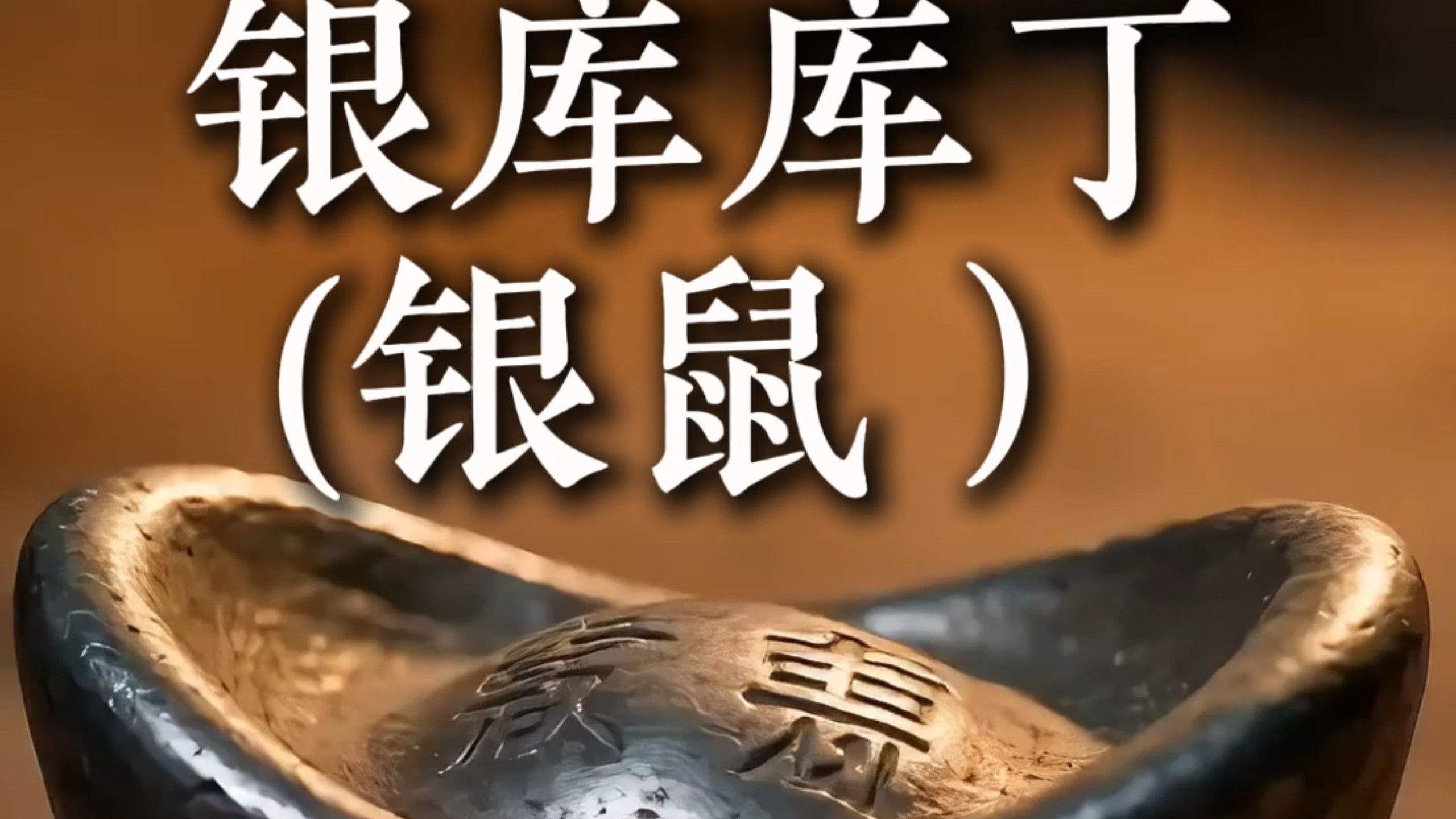 银库库丁 (银鼠）的一天