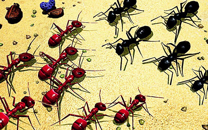 【小熙解说】模拟地下蚁国 蚁穴被各种蚂蚁入侵! 大型蚂蚁战争开启!