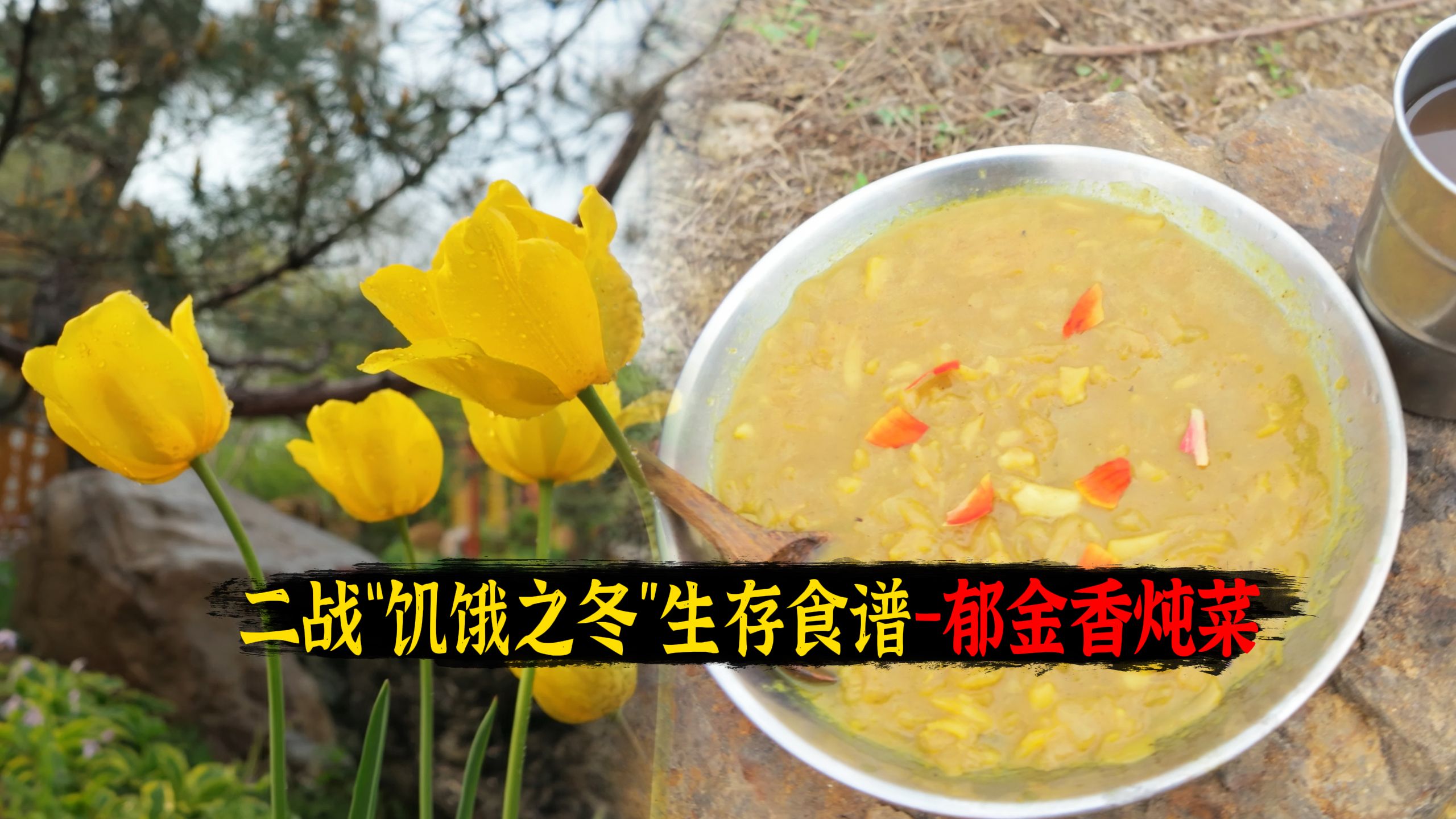 复刻郁金香炖菜-二战饥饿之冬官方生存食谱