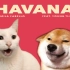 【鬼畜搬运】猫狗两全《Havana》齐唱哈哇呐哦呐呐 || CatsCovers【斑豆搬运】