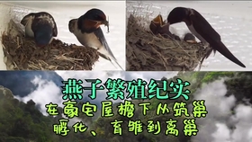 fc665cf87ba4fc9c1192afe6c3b152ceb222f6c1.jpg@280w_158h_1c_100q.jpg