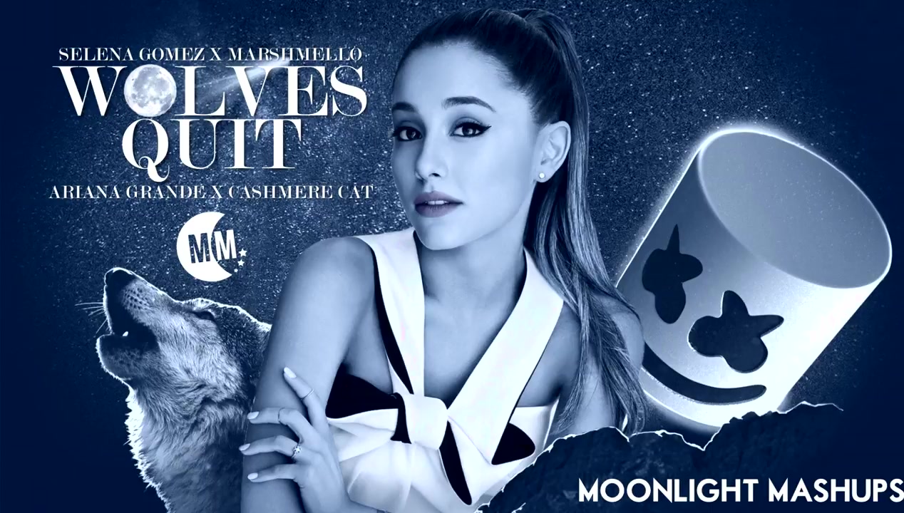 超赞quitxwolvesa妹arianagrande联手傻脸selenagomez混音