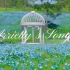 【Enna3D披露目/町田ちま】Arrietty's Song 阿莉埃蒂之歌【借物少女主题曲】