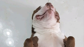 心里难受想哭怎么办 fc9d4548feb7d0c24299fa37a84c0d8c5ca363dd.jpg@280w_158h_1c_100q.jpg