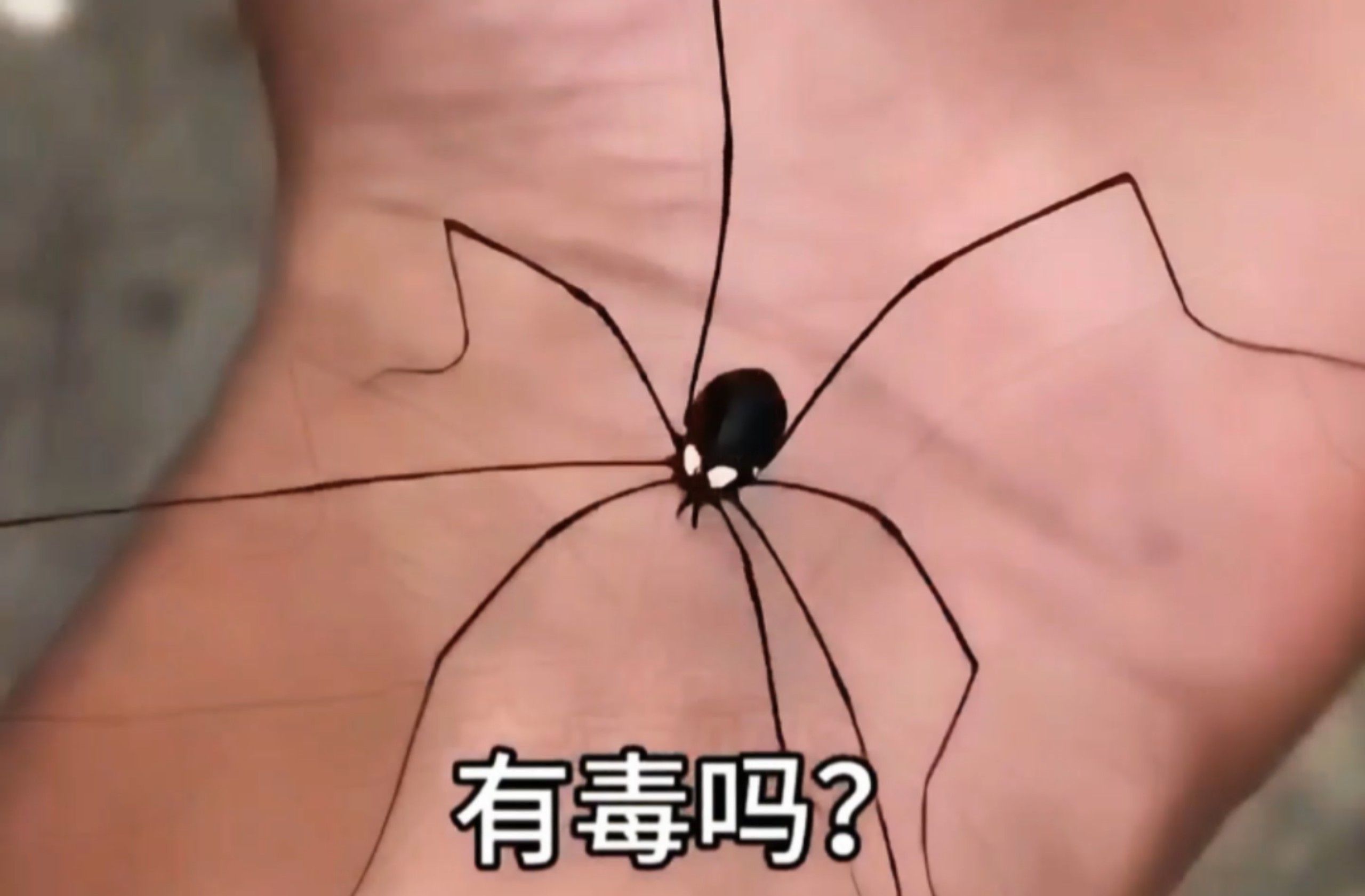 这是什么昆虫有毒吗？