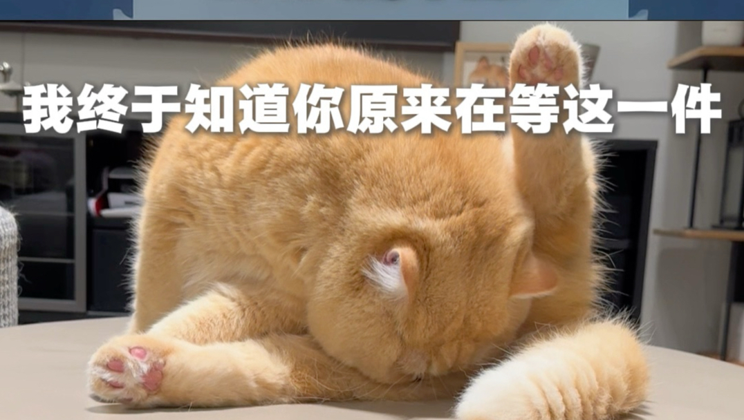 1000万可以吗？