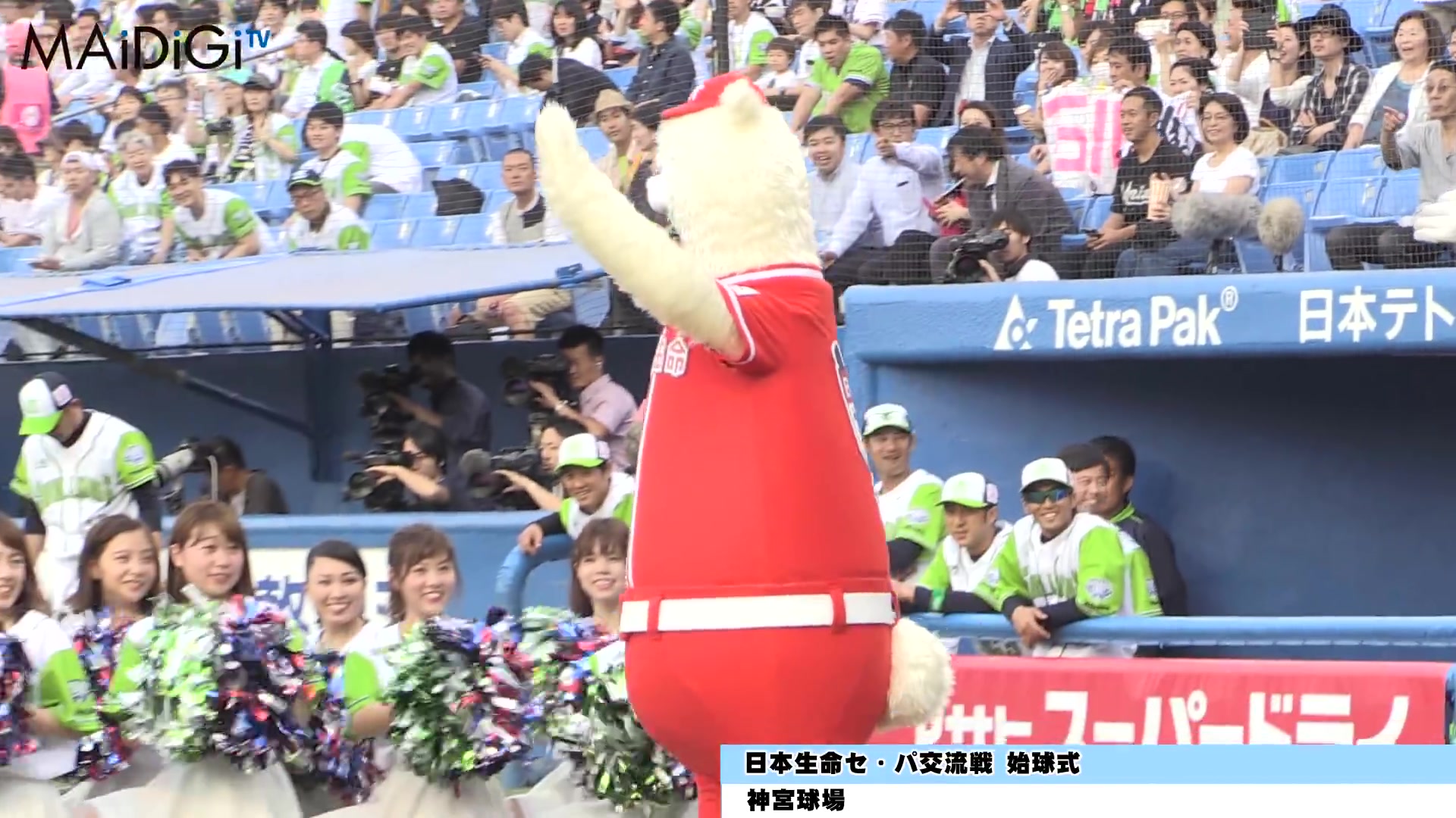 綾瀬はるかさん「おめでとう」ぬいぐるみ