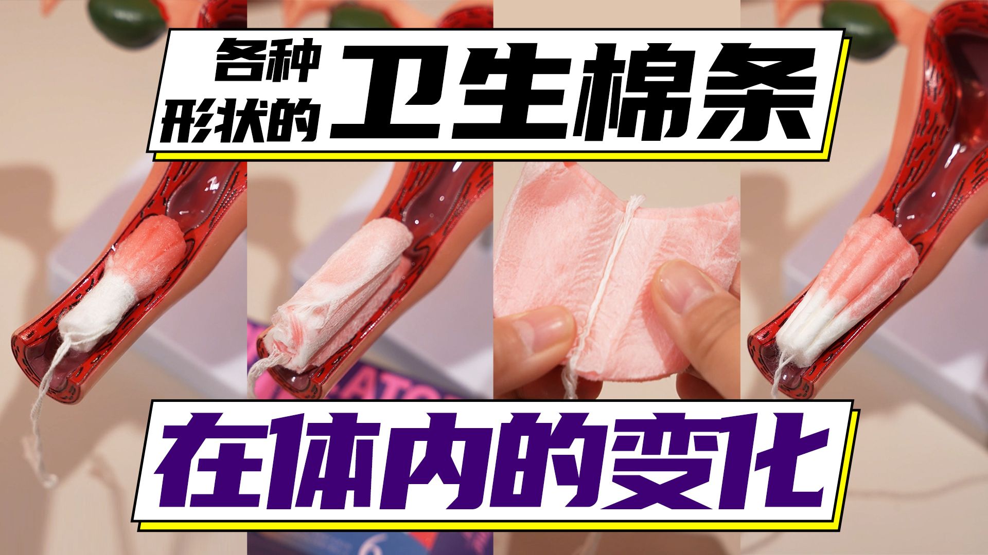 【模型模拟】看一看不同形状的卫生棉条在体内的变化