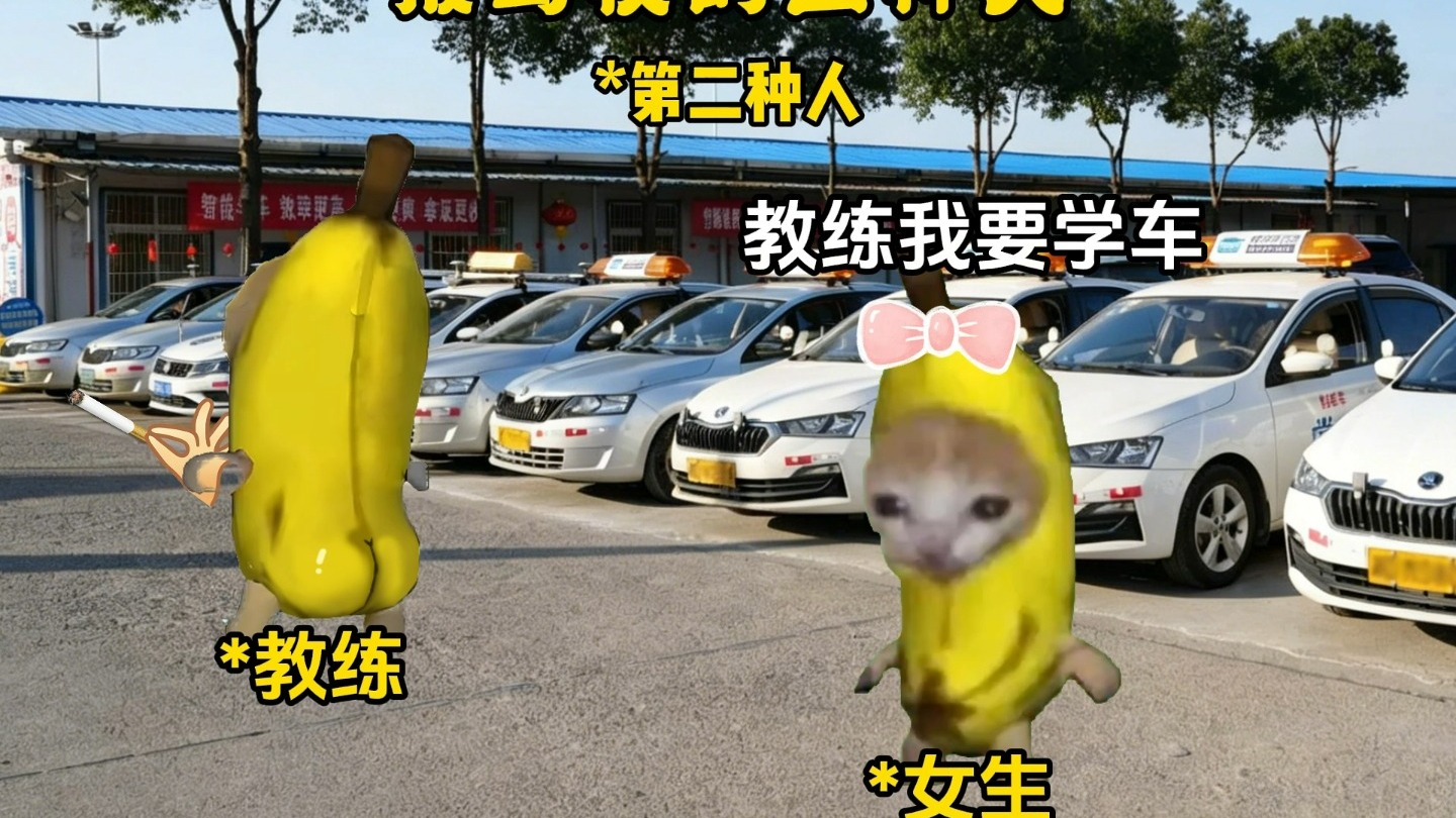 考驾校的三种狠人