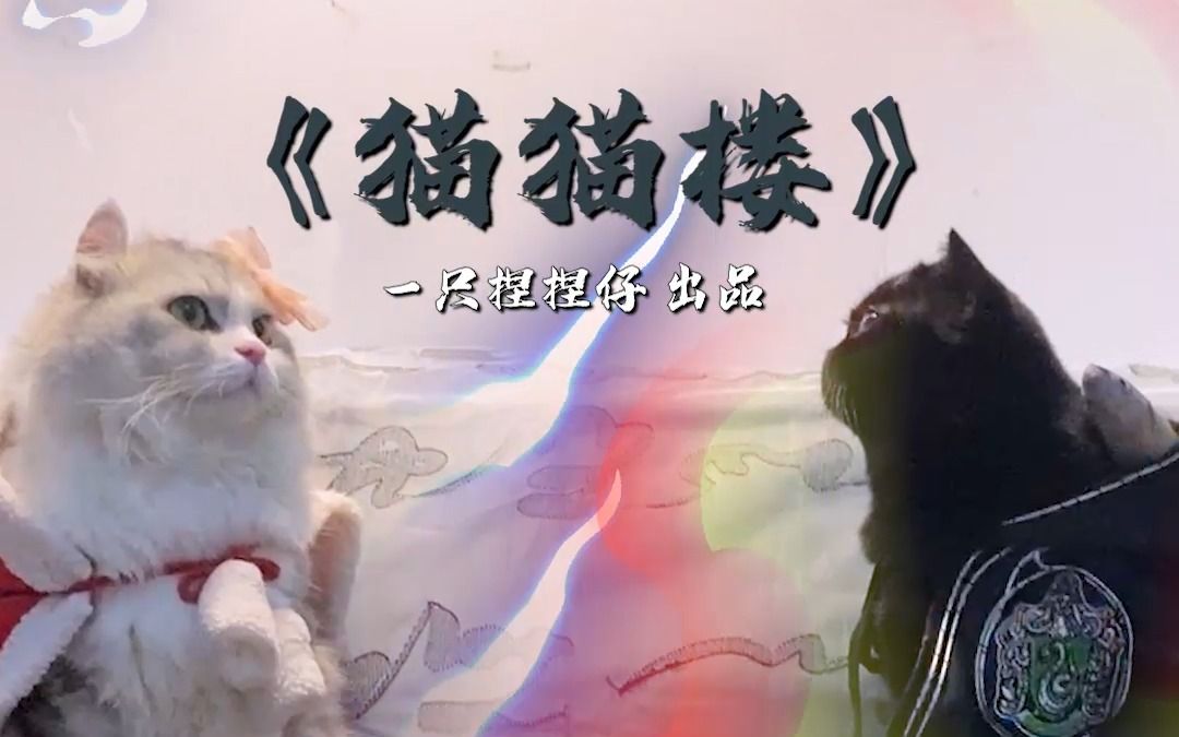 小型无连续剧《猫猫楼》即将上映！打斗版预告抢先看！