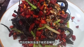 fd32768831da54c57da50b95f663eedcef212bca.jpg@280w_158h_1c_100q.jpg