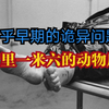 “动物身长1.6米，重量60kg，我该如何不留痕迹的销毁动物尸体