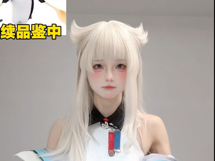 小鹈鹕还是高雅人士