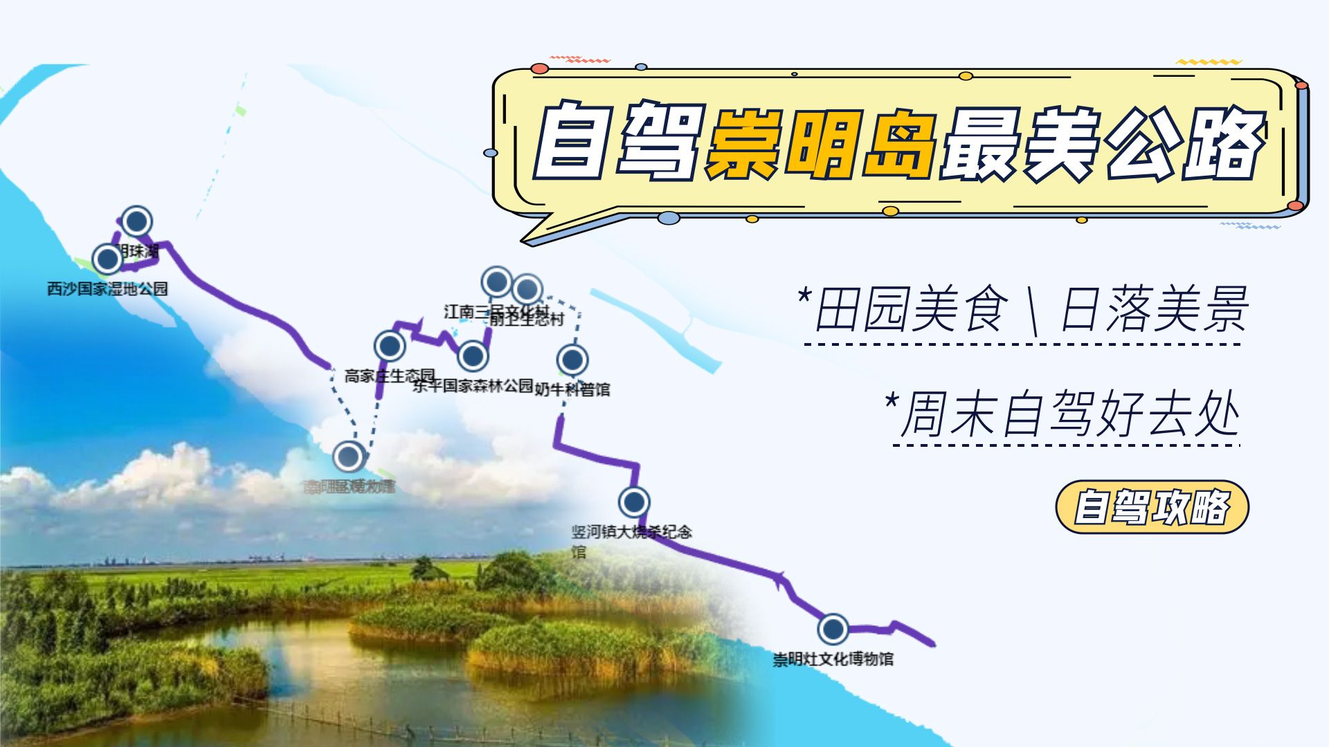 崇明岛最美公路集锦线，林场乡村交替出现，与候鸟一起寻觅秋色_哔哩哔哩_bilibili
